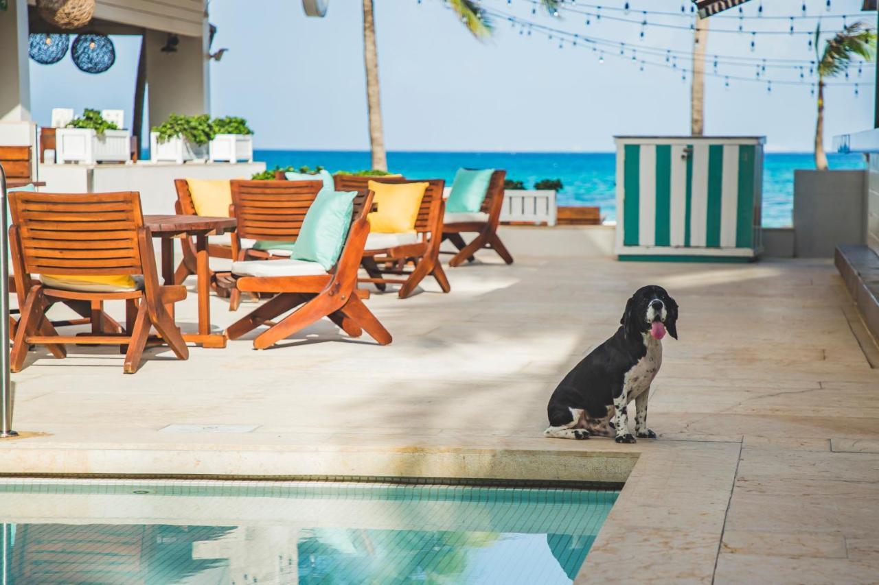 Thompson Playa Del Carmen Beach House, By Hyatt Exterior photo