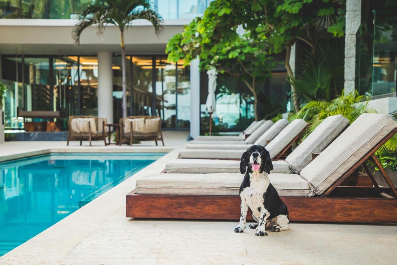 Thompson Playa Del Carmen Beach House, By Hyatt Exterior photo
